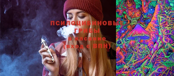 прущие крисы Верея