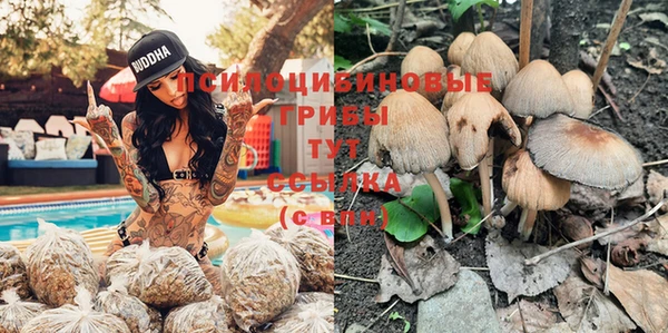прущие крисы Верея