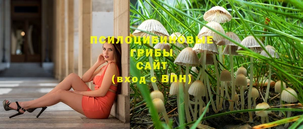 a pvp Верхний Тагил