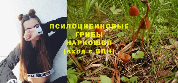 прущие крисы Верея